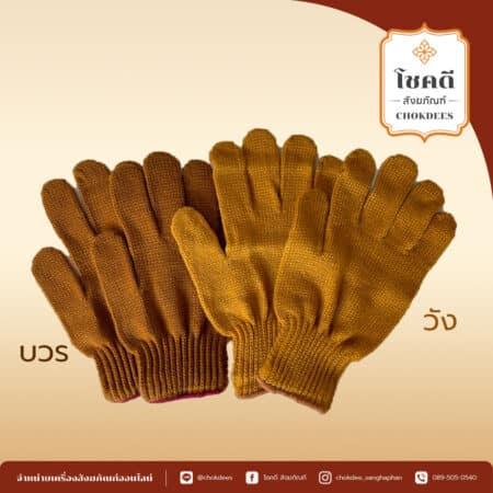 ถุงมือ วัง บวร