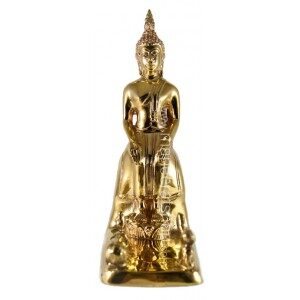 พระพุทธรูปประจำวันเกิด---พระประจำวันเกิด---พระพุทธรูป---ปางป่าเลไลยก์